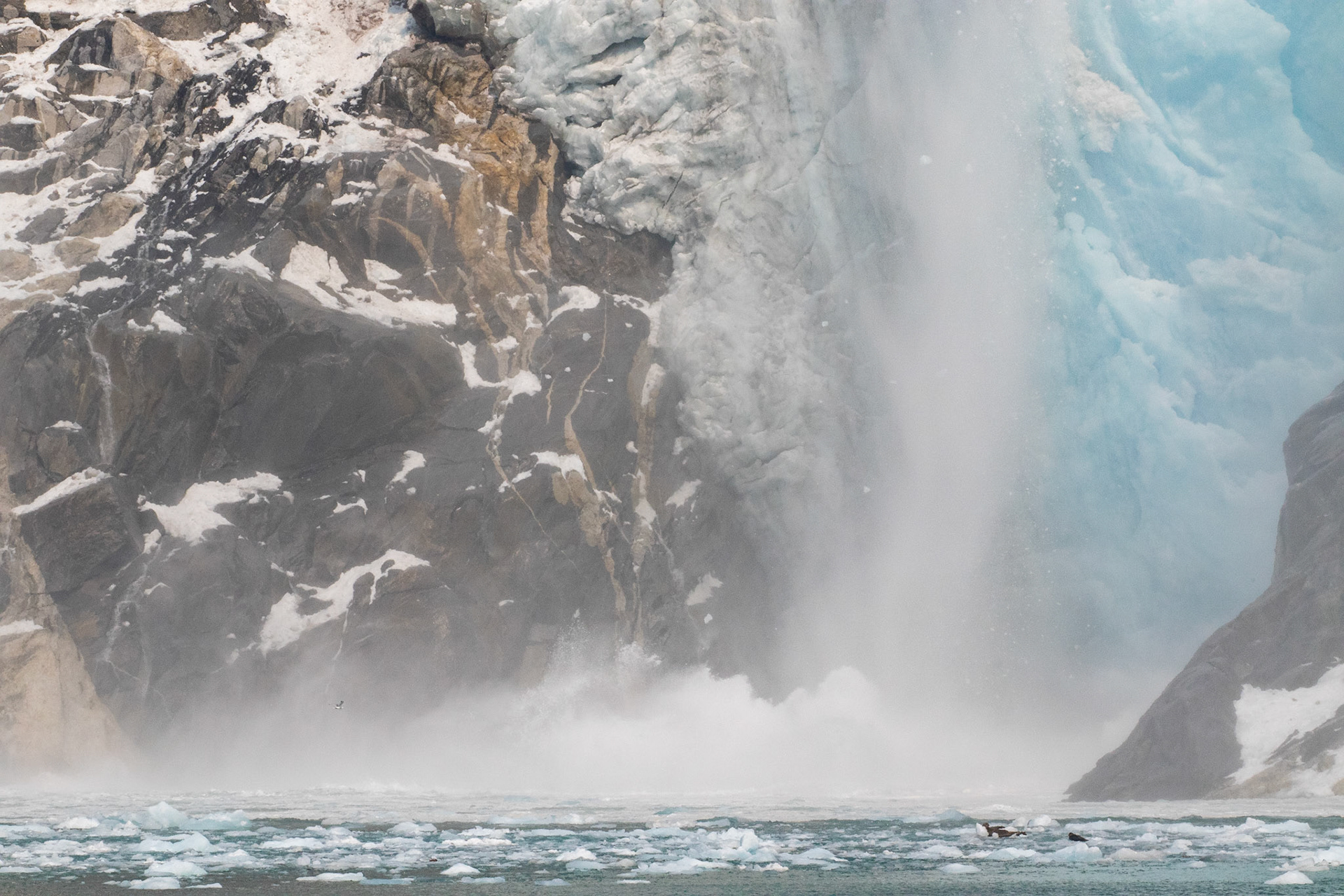 Alaska - Coast and Rainforest 3