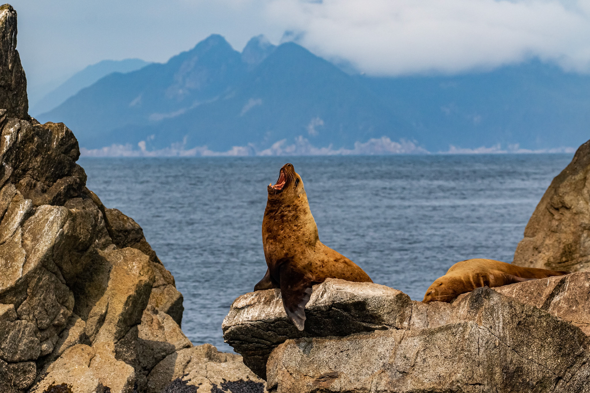 Alaska - Coast and Rainforest 6