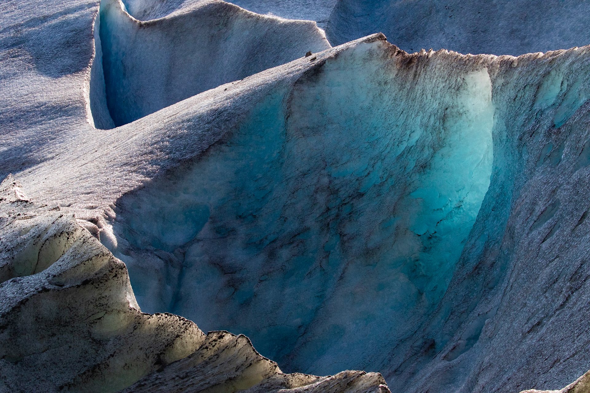 Alaska - Coast and Rainforest 14