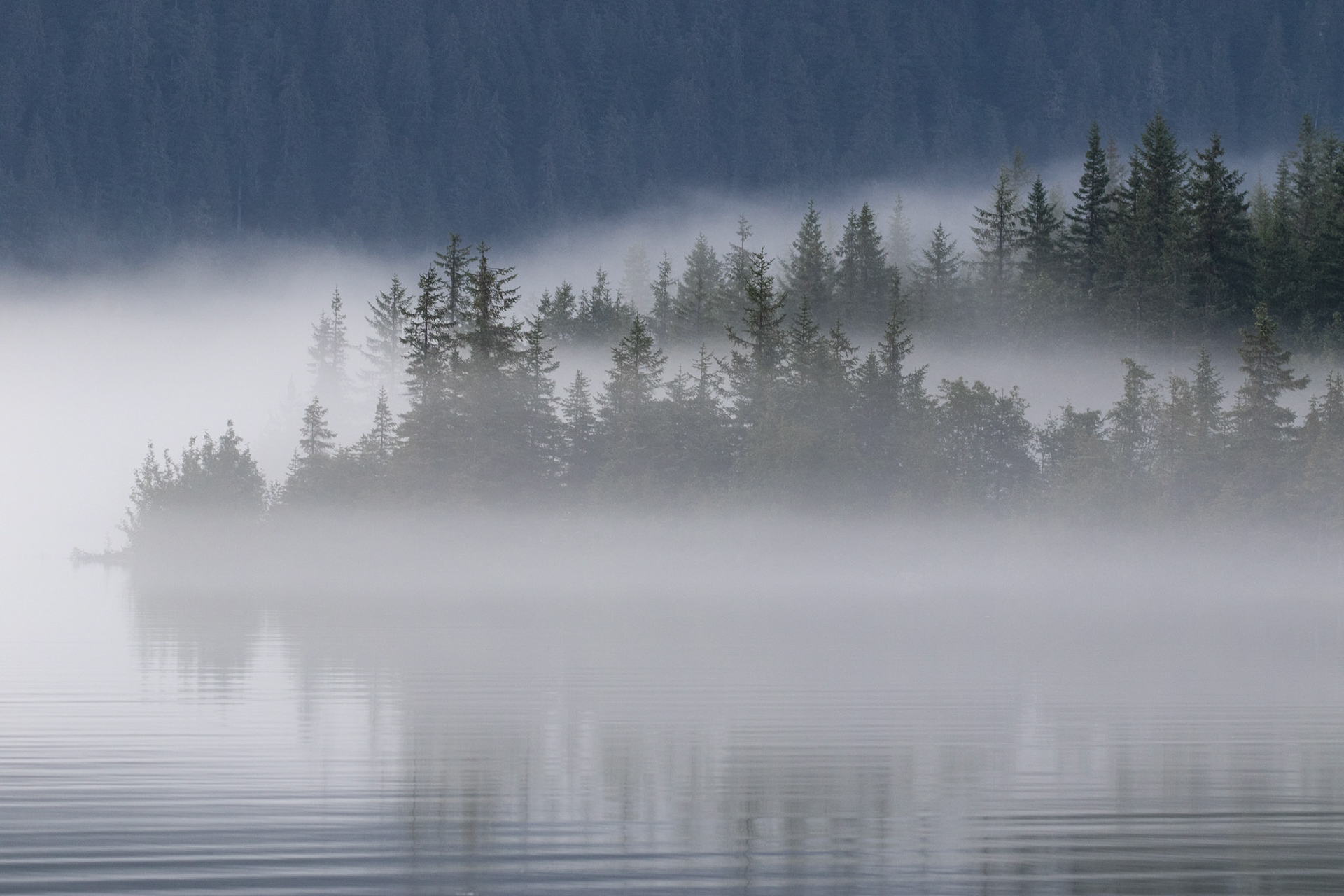 Alaska - Coast and Rainforest 17