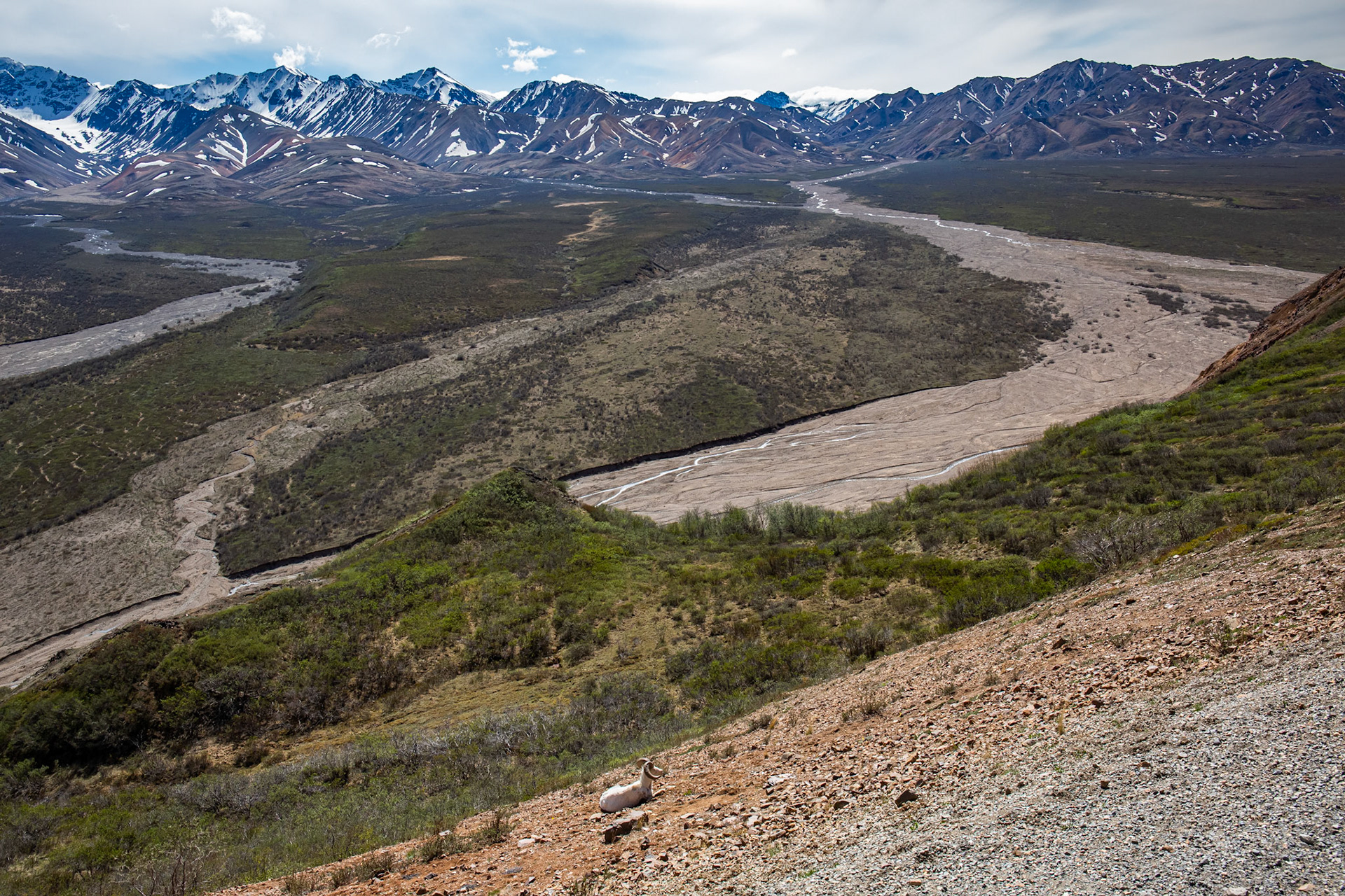 Alaska - Tundra Region 3
