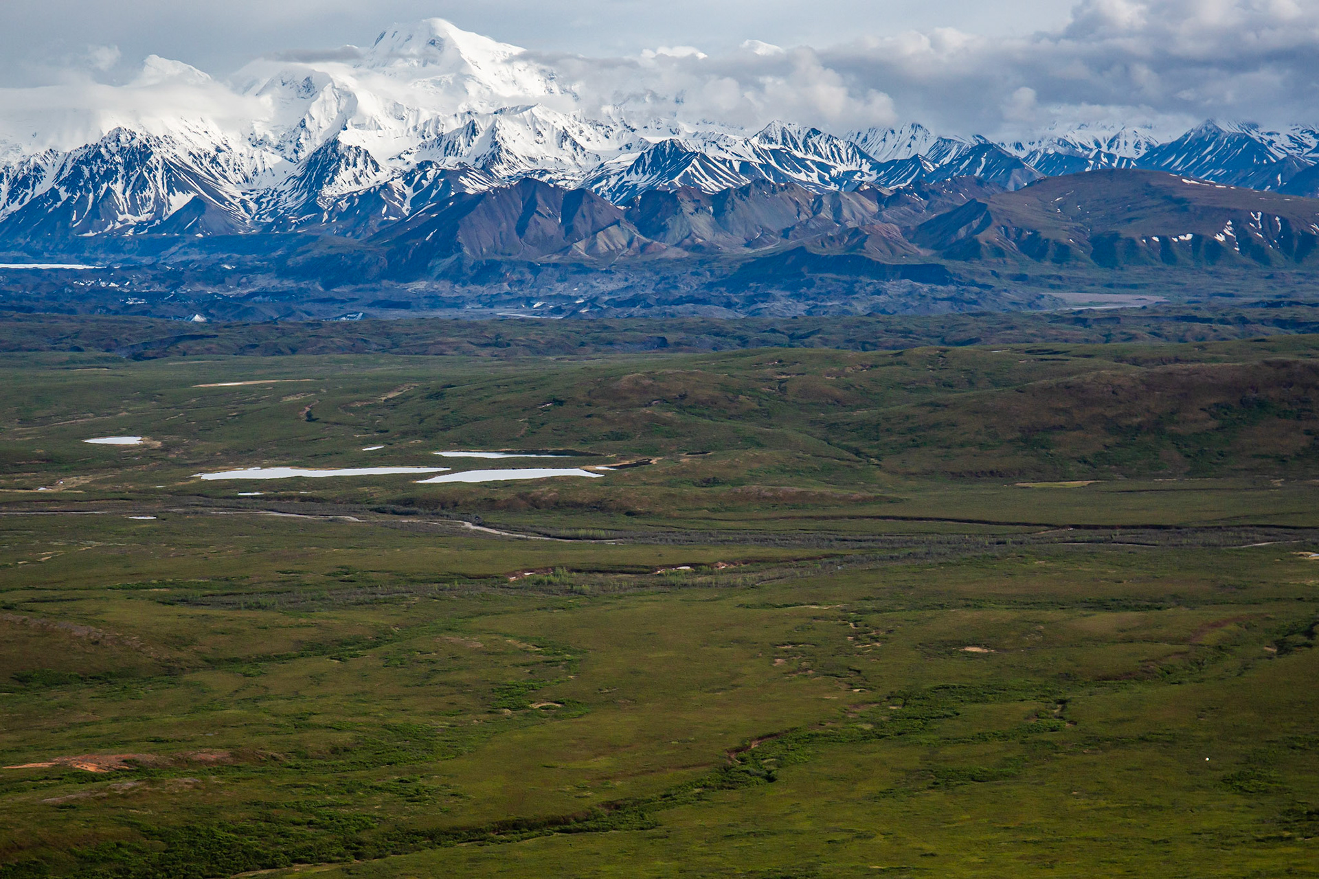 Alaska - Tundra Region 6