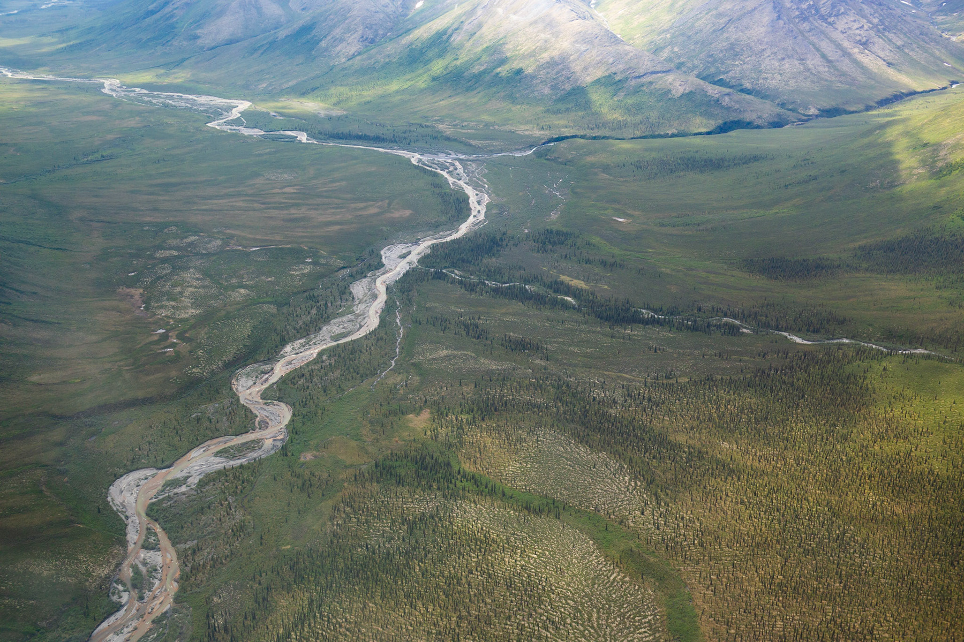 Alaska - Tundra Region 9