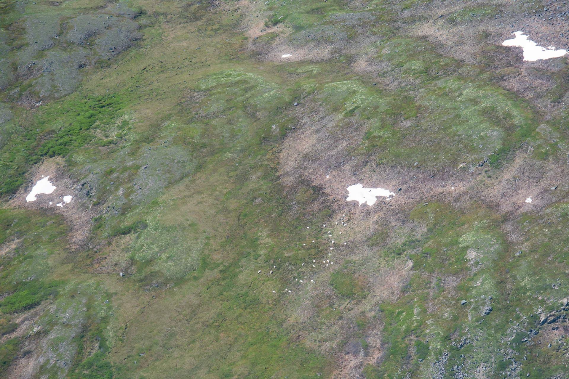 Alaska - Tundra Region 10