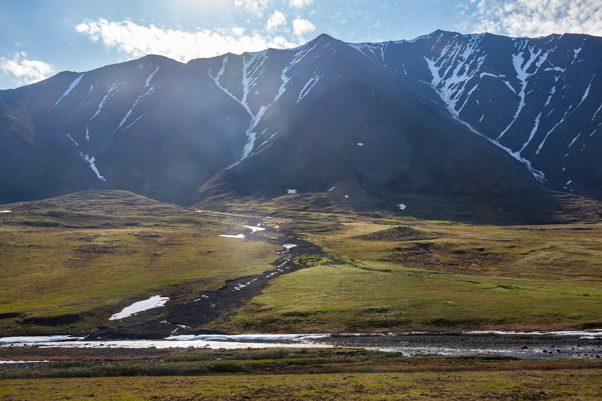 Alaska - Tundra Region 11