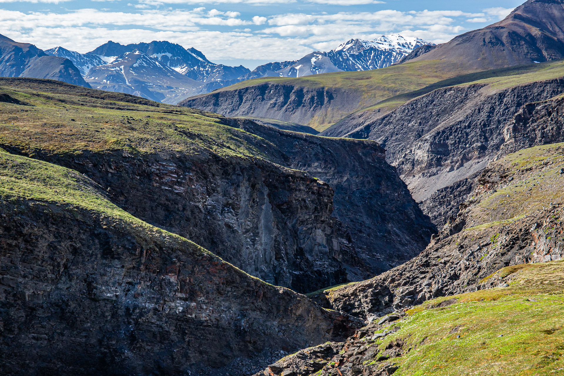 Alaska - Tundra Region 12