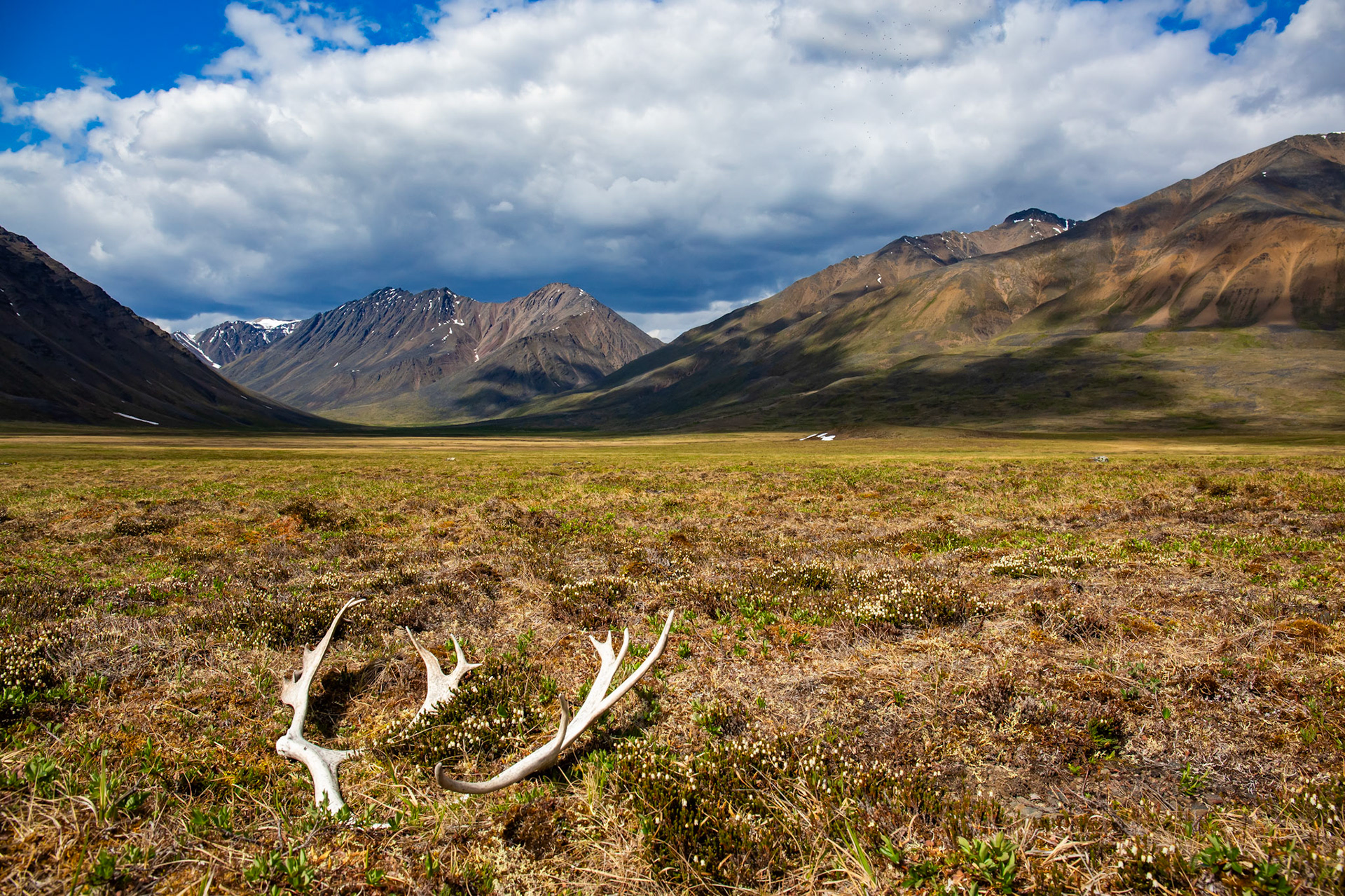 Alaska - Tundra Region 14
