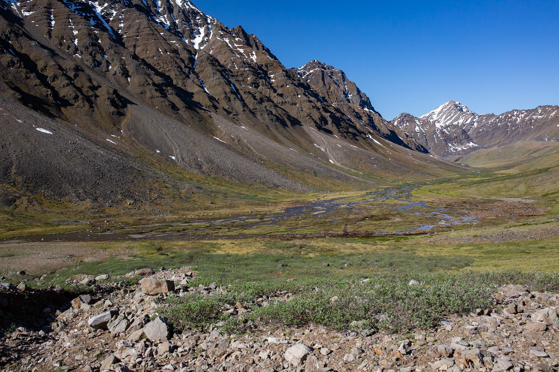 Alaska - Tundra Region 16