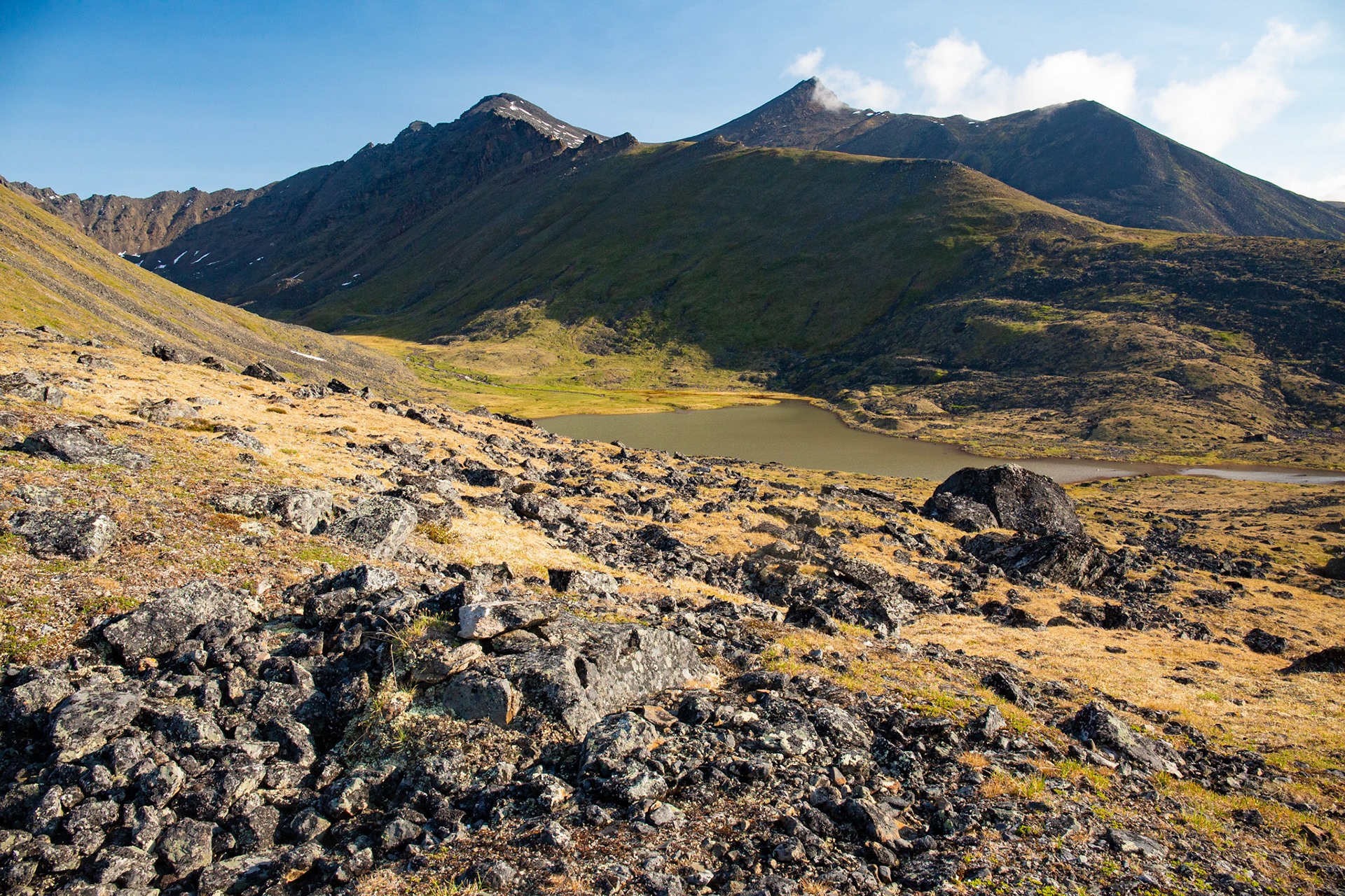 Alaska - Tundra Region 18