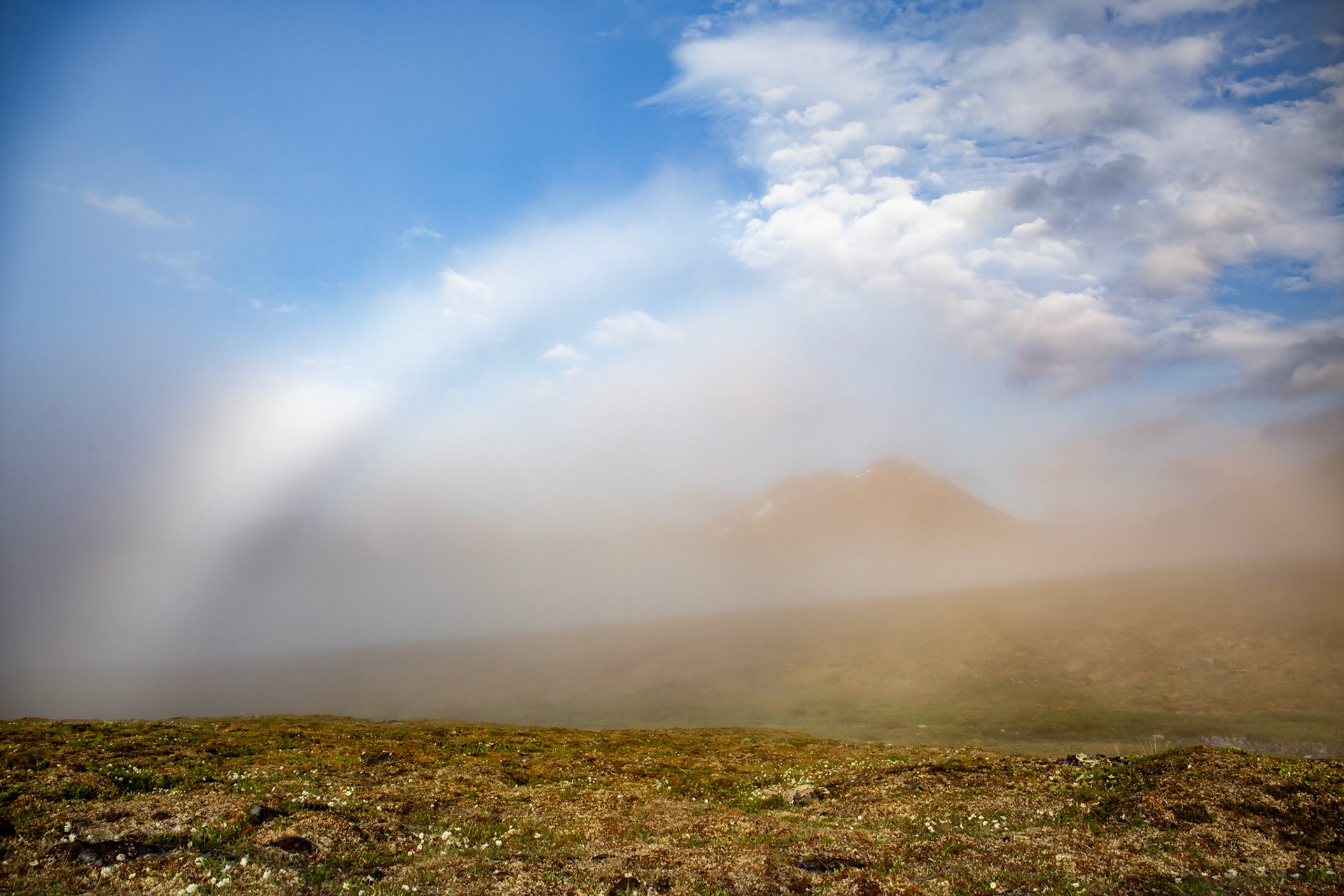 Alaska - Tundra Region 23