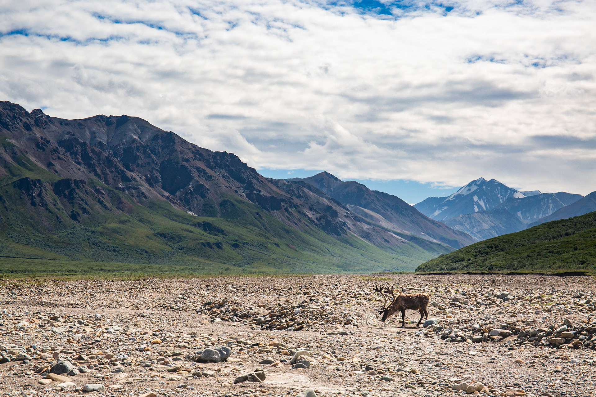Alaska - Tundra Region 29