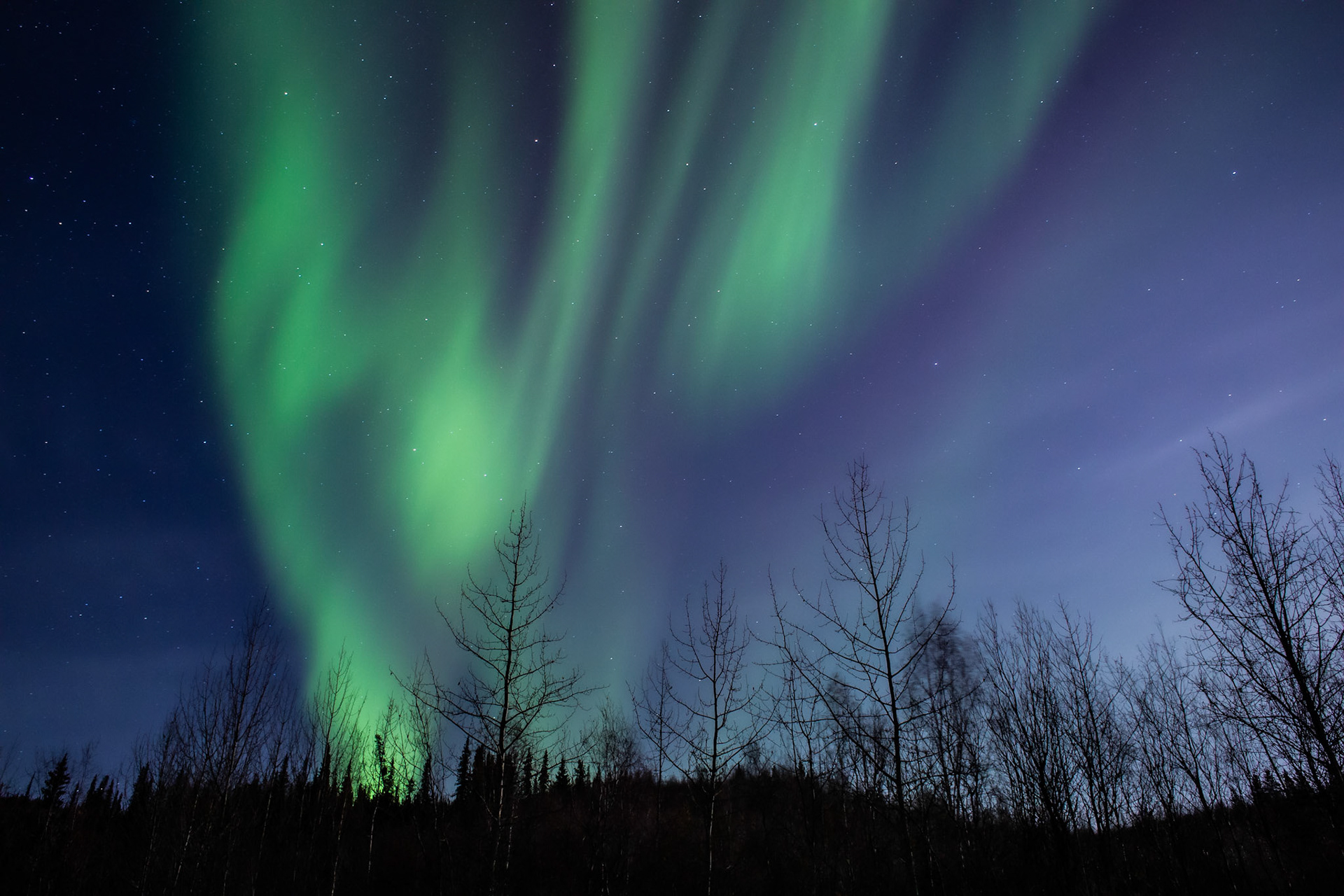 Yukon 5